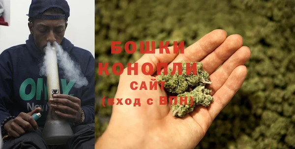 соль ск Вяземский