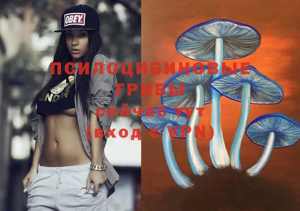 не бодяженный Волоколамск