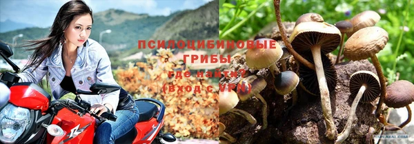 гашик Володарск