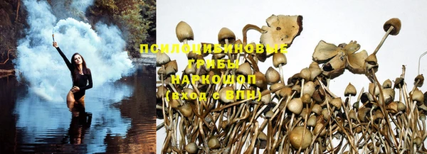 гашик Володарск