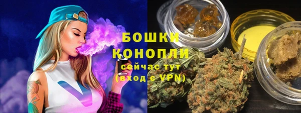 шишки Вязьма