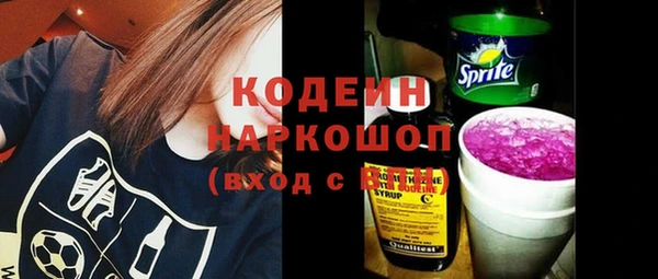 соль ск Вяземский