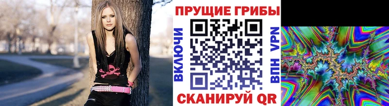Галлюциногенные грибы Psilocybe  Купить где  Карабаш 